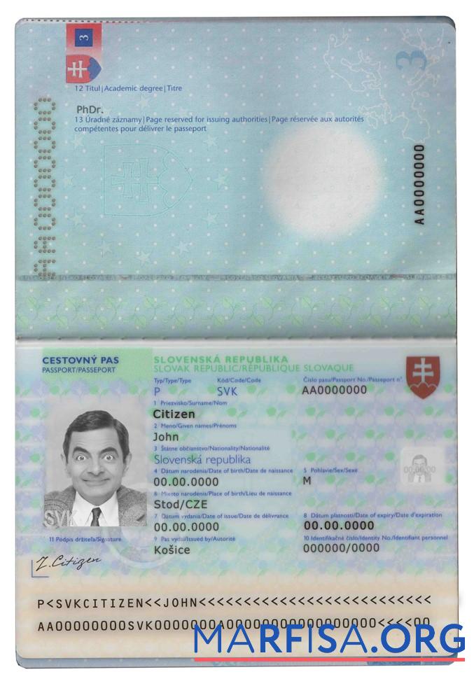 Realistic Slovakia passport real example